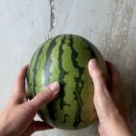 trick til bedste vandmelon