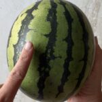 find den bedste melon