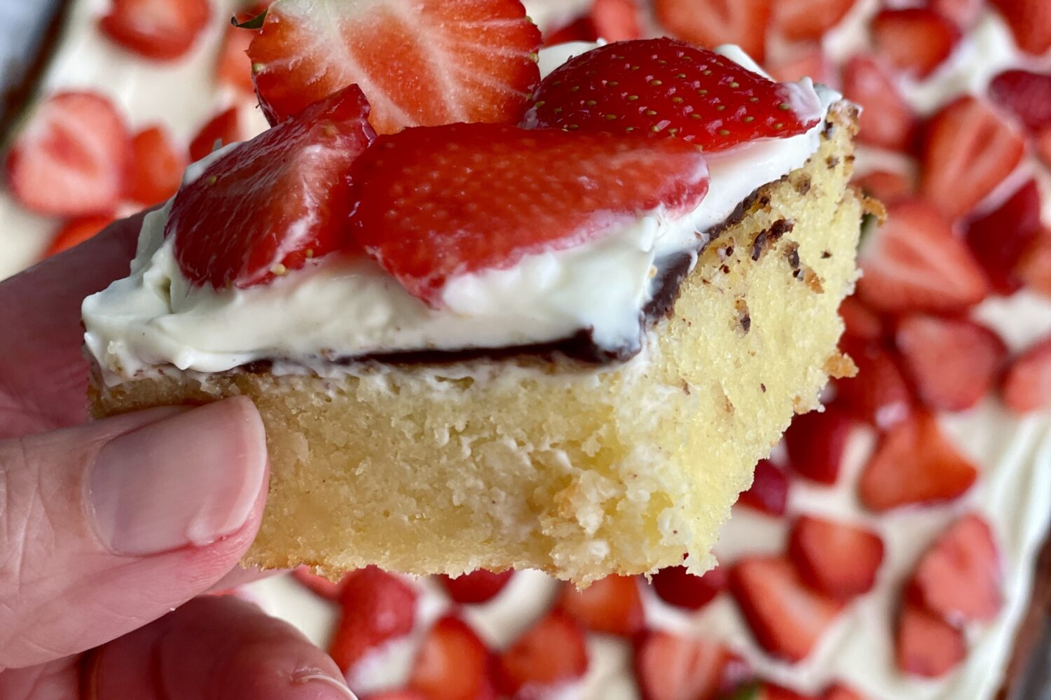 Kæmpe jordbærkage til mange (i bradepande) - populær hos gæsterne 🍓