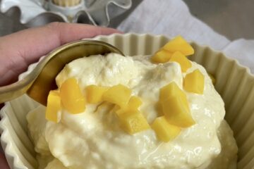 mango yoghurt is