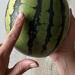 find den bedste melon