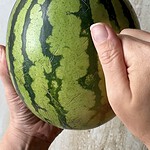 bedste vandmelon - trick