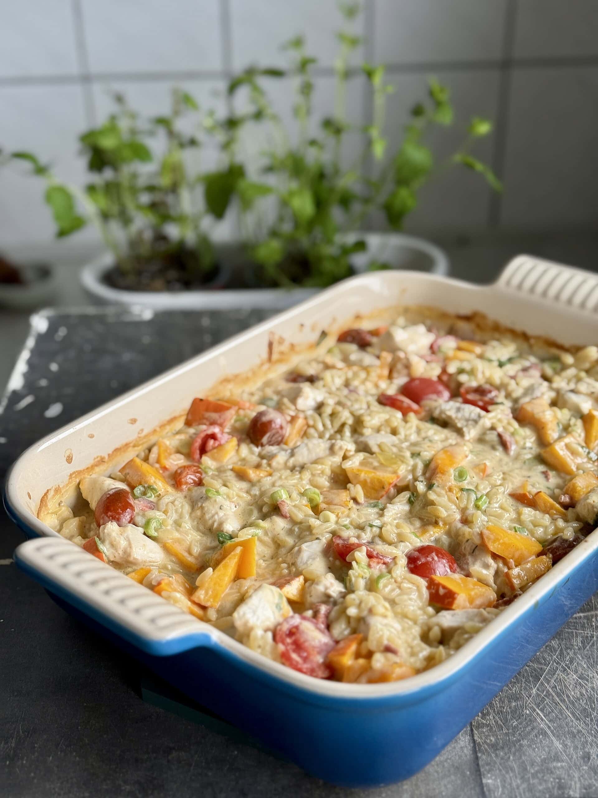 One pan opskrift med orzo, kylling og græskar